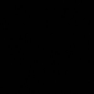 Meet your Posher, Amaya.hutton